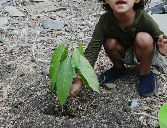 Environmental and Nature (3)