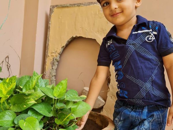 Environmental and Nature (4)