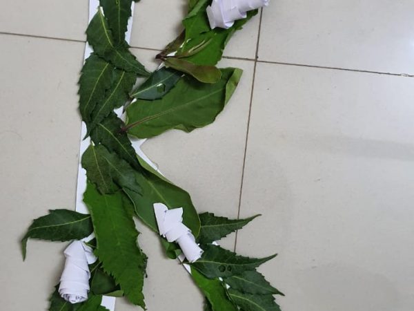 IMG-20210915-WA0060